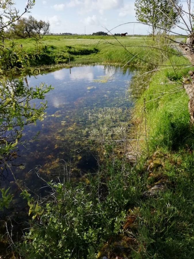 Les Pensions Du Joslin Bouin  Exterior foto